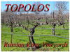 Topolos Vineyards